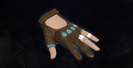 Aiden's Gloves